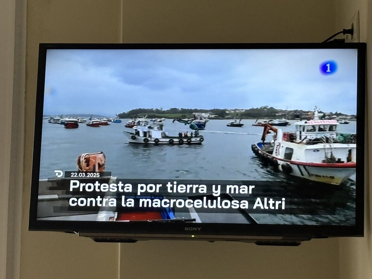 galiciaambienta's tweet photo. Unha vez máis, discutible cobertura da Televisión de Galicia de cuestións relacionadas co proxecto #Altri #Greenalia en Palas de Rei. Unha reportaxe rápida seguida dunha moi ampla cobertura da postura da Xunta a favor do proxecto (por certo en subliminal paisaxe de eucaliptos).. https://t.co/md58Nn2vqf