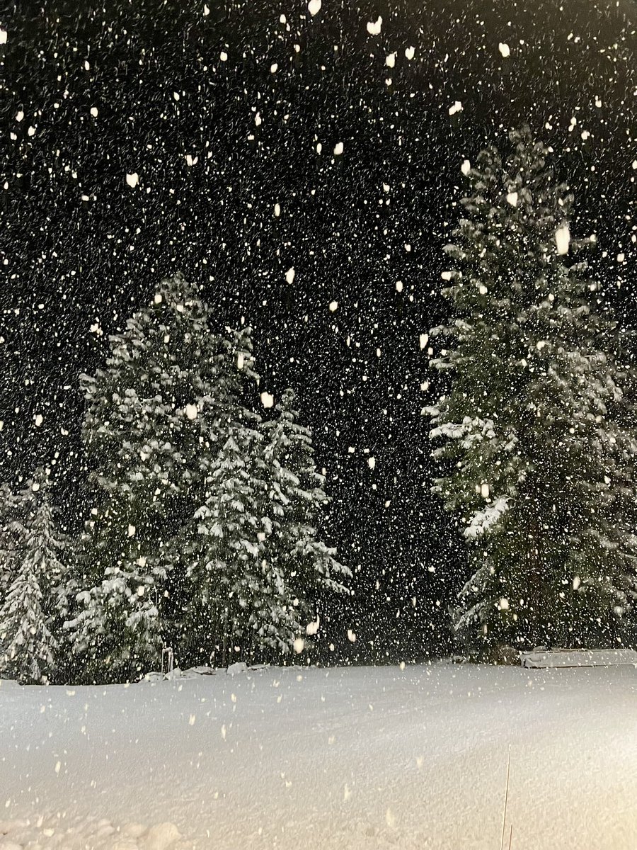 Michael Dubron tweet media