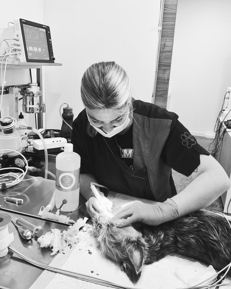 𝓜 a r í a 🌟 tweet media