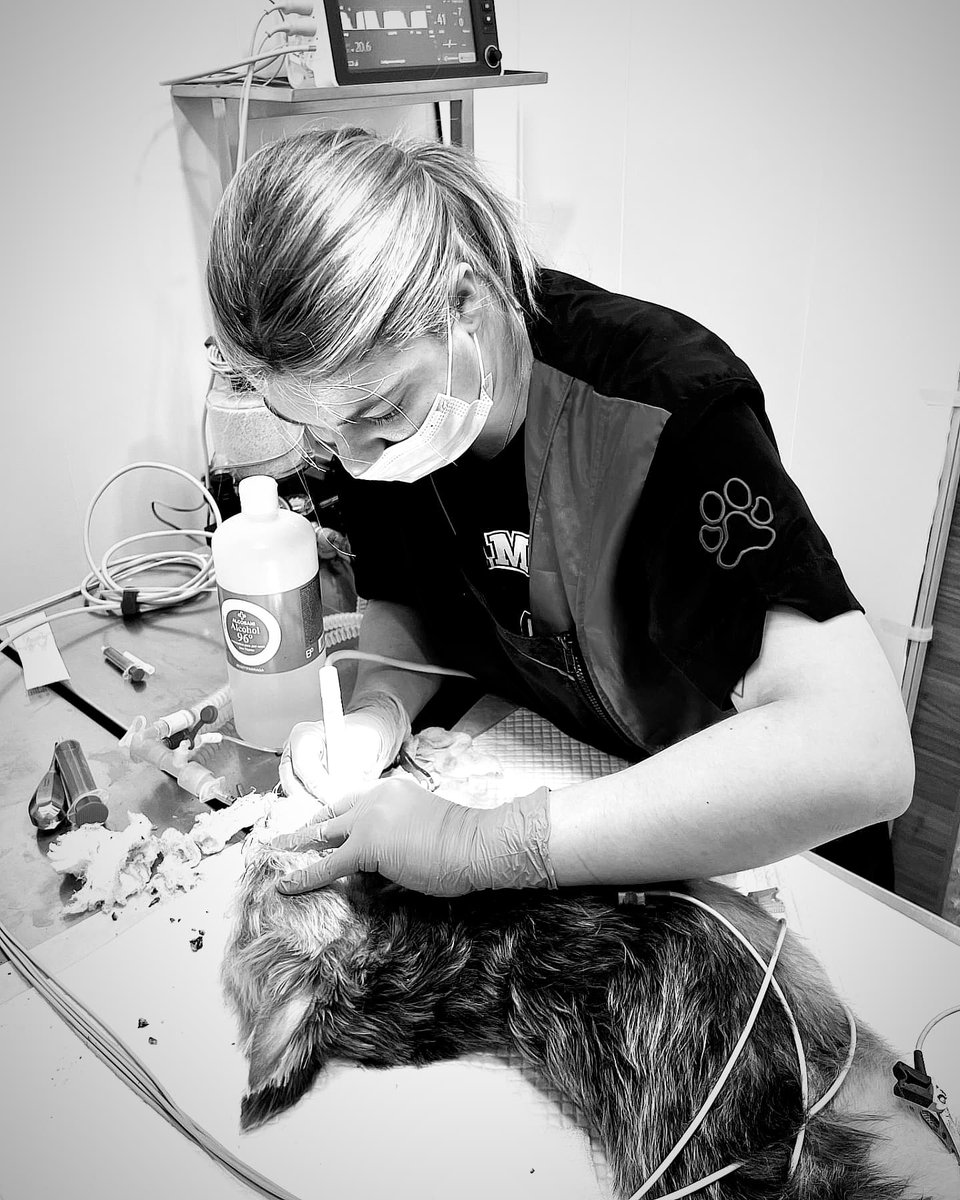 𝓜 a r í a 🌟 tweet media