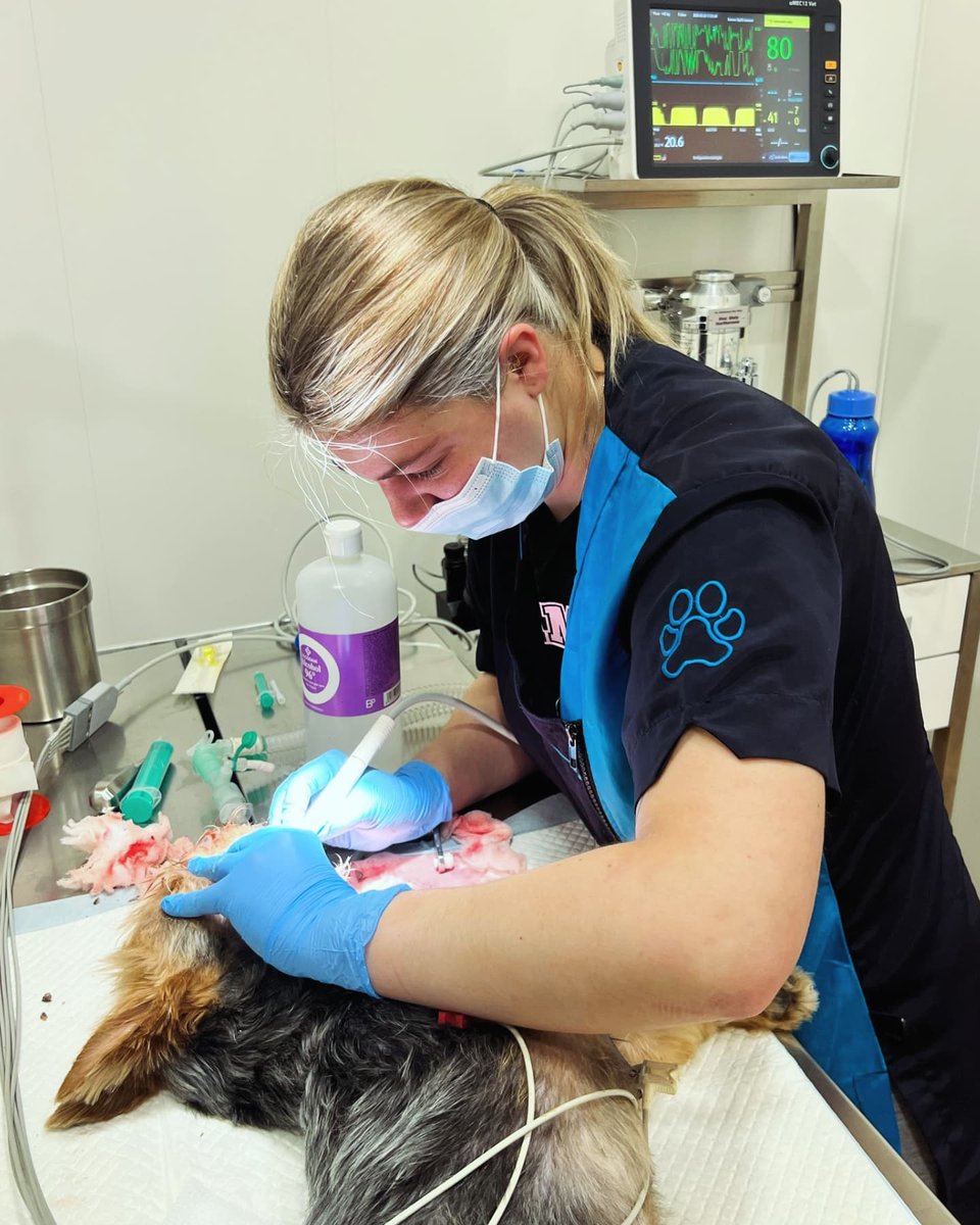 𝓜 a r í a 🌟 tweet media