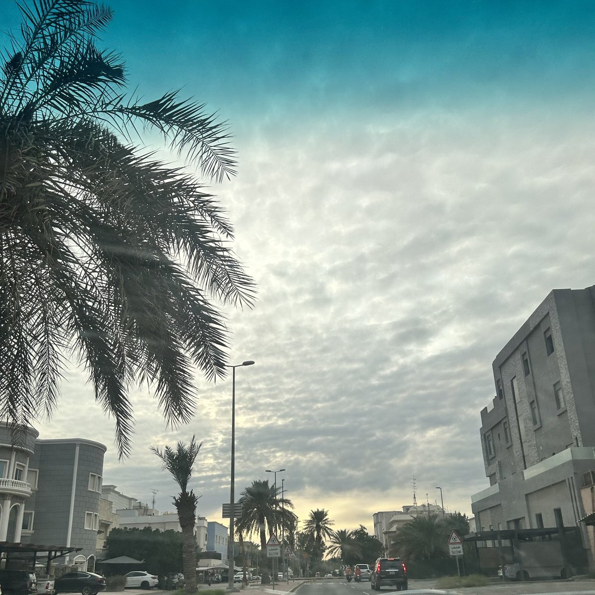 الغييييمم شفييع لدوام اليوم🥺🫂..