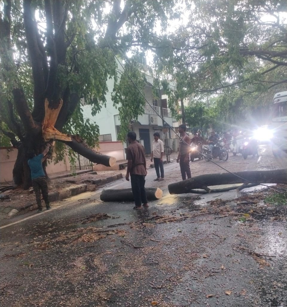 BCCCofficial's tweet photo. Fallen branches due to rain has been cleared at Yelahanka new town, Yelahanka zone by bbmp forest dept team.
#BBMP #BBMPCares #bbmpforest
#bengaluru #bangalorerains #BengaluruRains #BengaluruRain https://t.co/GpEeQ5euVg