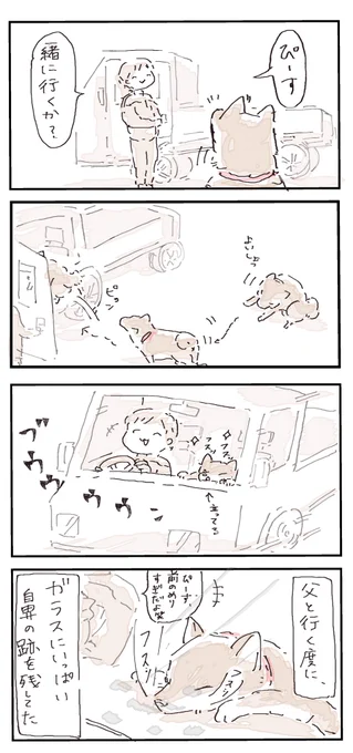 #4コマ漫画 #柴犬 #柴犬のいる生活 
父とぴーす 