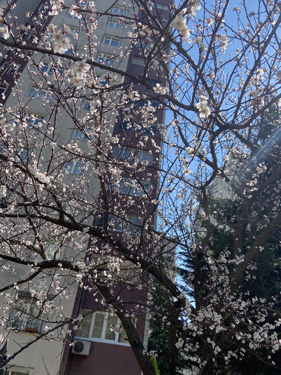 “Sabırlı ol!
Allah hayal ettirdiyse şüphesiz nasip eder.”

#Hayırlı_Akşamlar
Bereketli İftarlar 🤲🌹