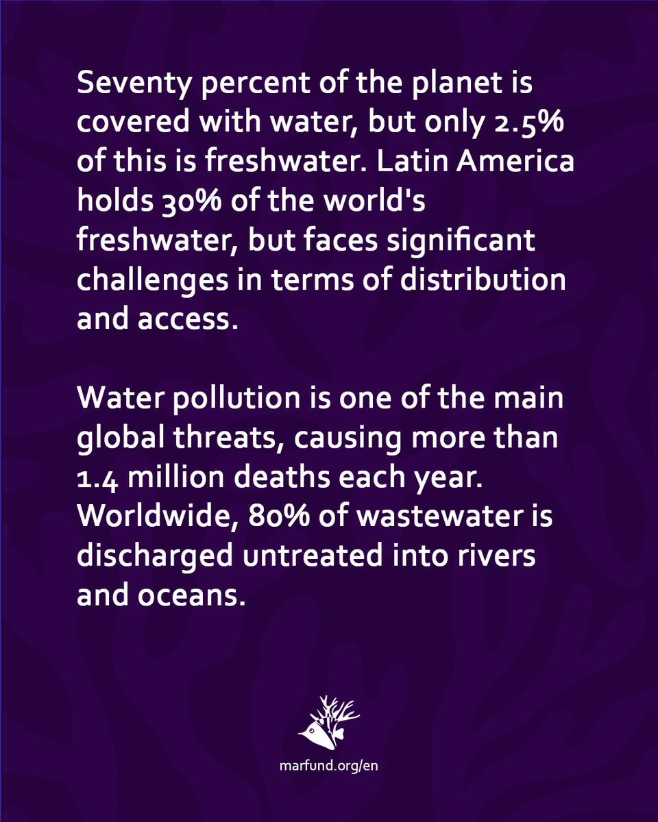 MAR_Fund's tweet photo. 💧 Freshwater quality is vital for reefs and coastal communities. More than 2 billion people lack access to safe drinking water. Protecting this resource is urgent. Every drop counts! 🌍💦

#DíaMundialDelAgua #AguaParaTodos #AguaLimpiaparaelArrecife #MARFund https://t.co/BbNnjwJTgu