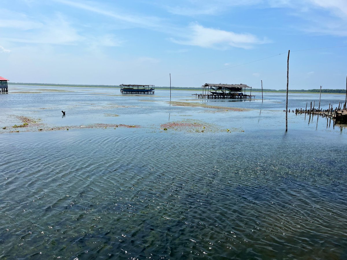 #DiaMundialdelAgua el agua es mucho más que el recurso hídrico, el agua permite la vida, permite la economía, permite que seamos lo que somos; ante la crisis climática el agua se expresará de maneras que nunca vimos antes