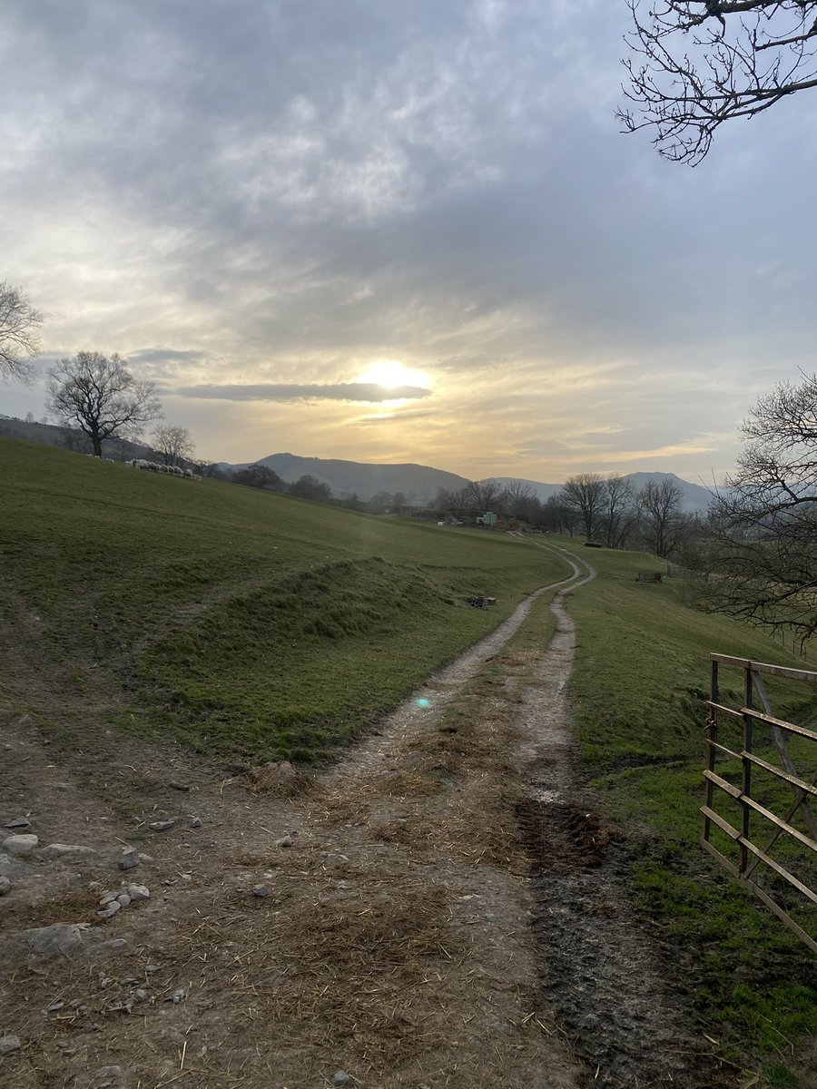 Home for the weekend to help with lambing, luckily the weather is staying dry so we can turn them out, as they are coming non stop! #welshfarming #familyfarming