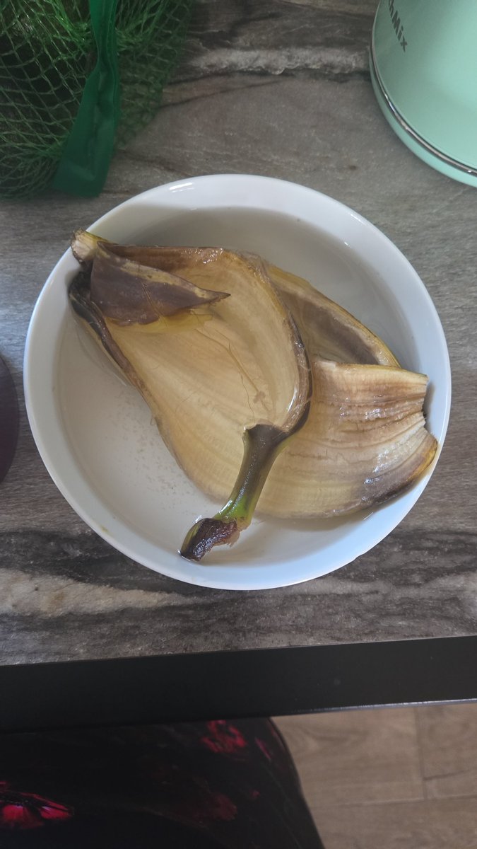 Jenn Neville-Lake tweet media