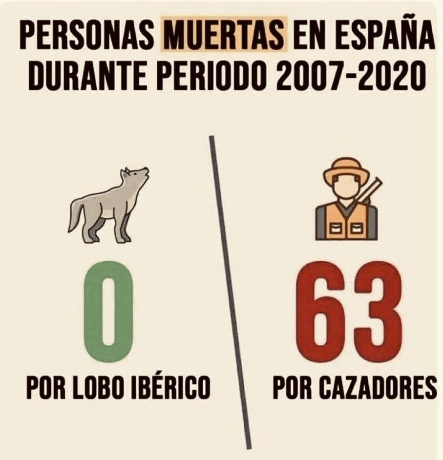 Dato mata relato 

#lobovivo #LoboProtegido
