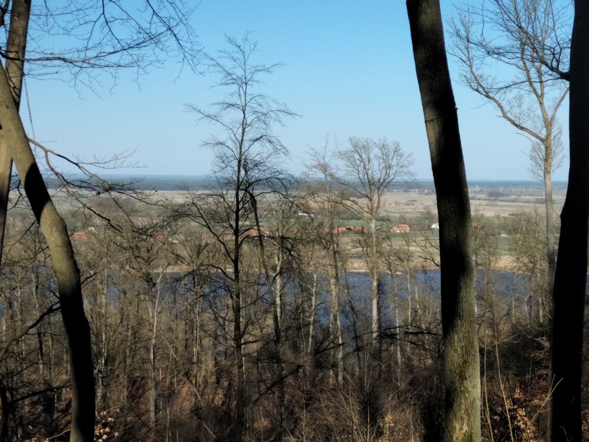 kuerbis42's tweet image. #Elbe #Hitzacker #2025