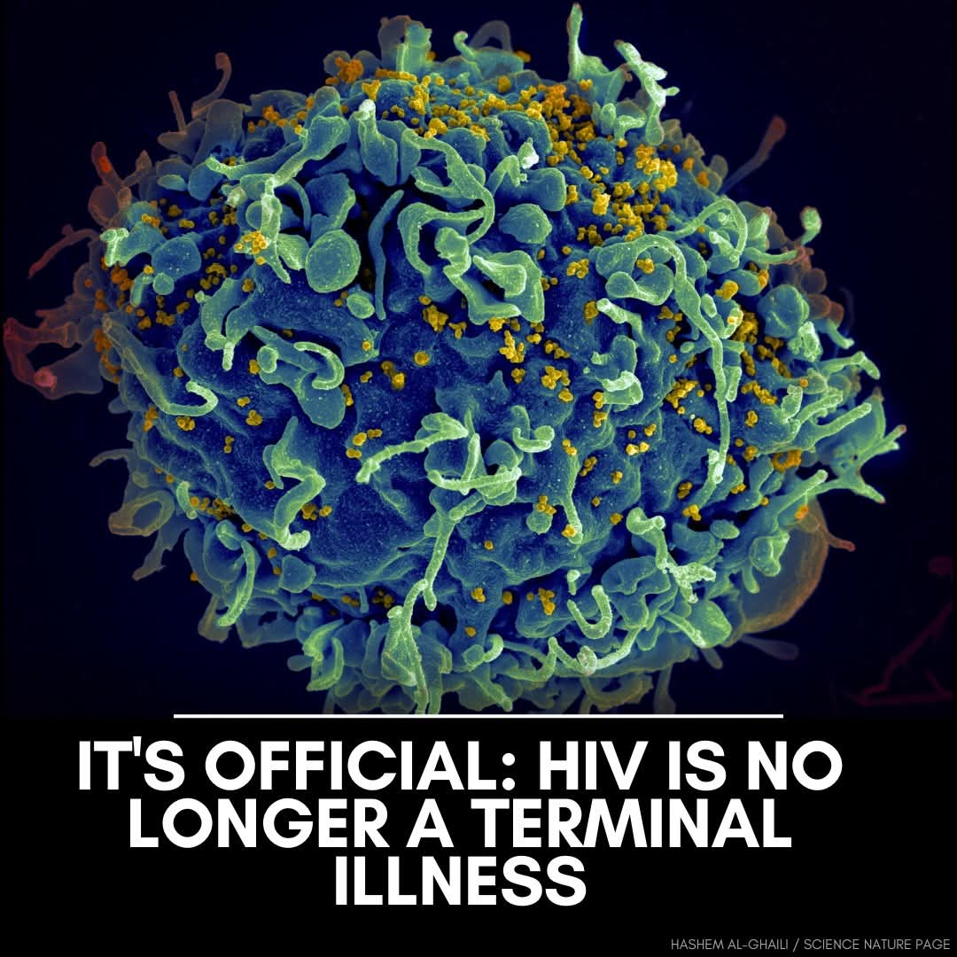 HIV bukan lagi Terminal Disease.

"Kita berada pada satu titik sejarah yang sangat penting mengenai perkara ini."

Menurut Pertubuhan Kesihatan Sedunia, 42.3 juta orang telah meninggal dunia akibat penyakit berkaitan AIDS sejak bermulanya wabak ini.