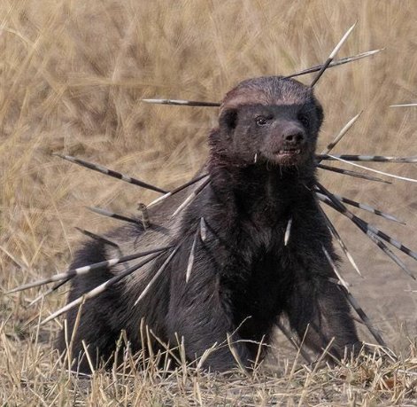 It's not going to be easy dismantling the proprietary bitcoin mining empire, but someone has to do it.