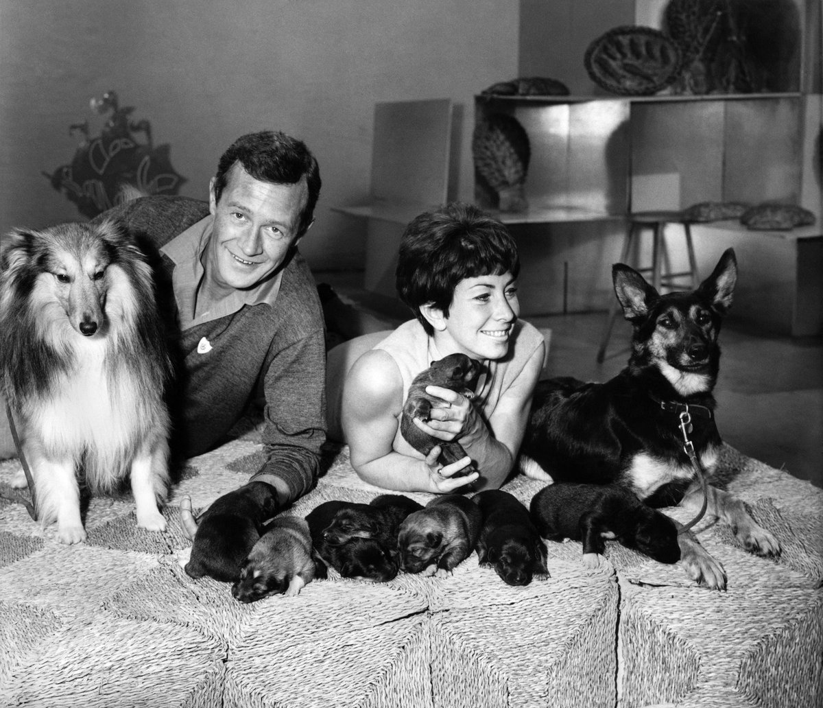 As Blue Peter leaves the BBC TV schedules after 67 years (new progs will be online) who was your favourite presenter?