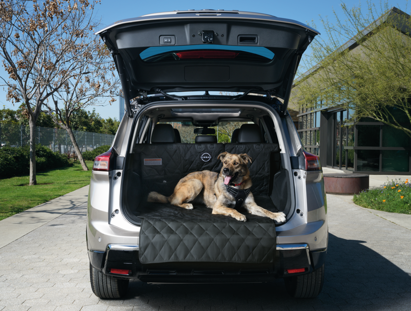 Keep your car safe and pet-friendly with Nissan’s top car accessories! 🐾 From pet ramps to cargo protectors, we've got you covered. Contact us today to personalize your ride for you and your pet!

What’s your must-have pet accessory for the car?

tompeacocknissan.com