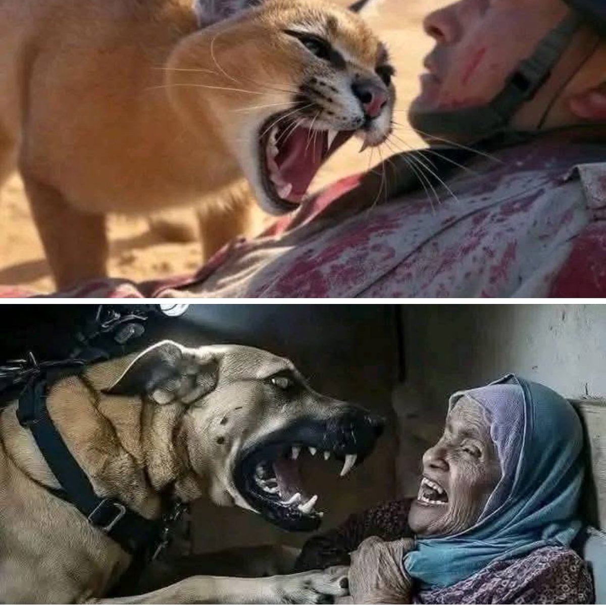 .{ وَمَا كَانَ رَبُّكَ نَسِيًّا }.