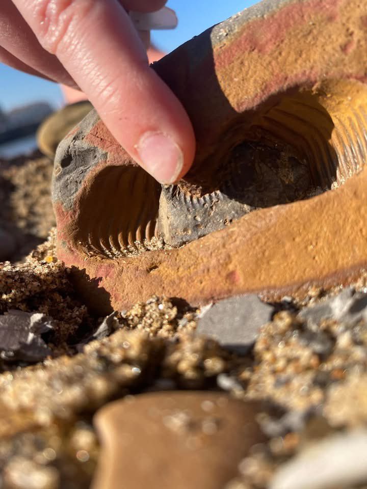 East Whitby Academy tweet media