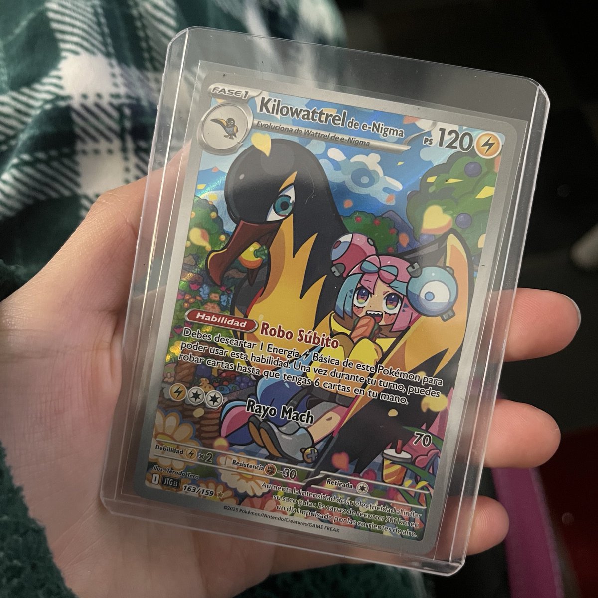 Pingu🐧 tweet media