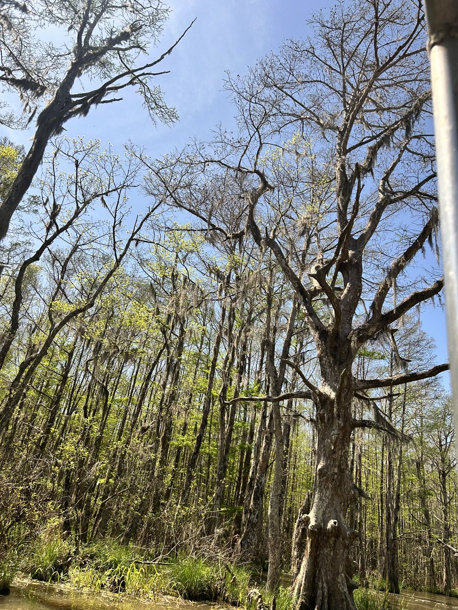 grace garrett tweet media