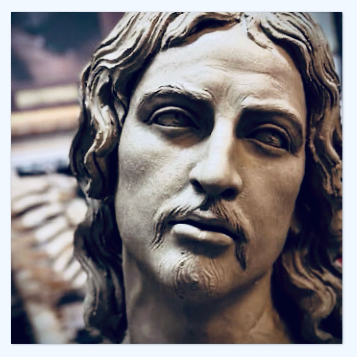 Amor y Concepción tweet media