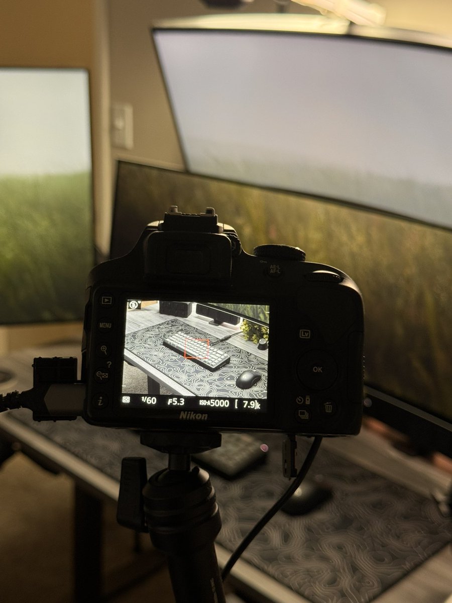 New member of the family 🫶🏾