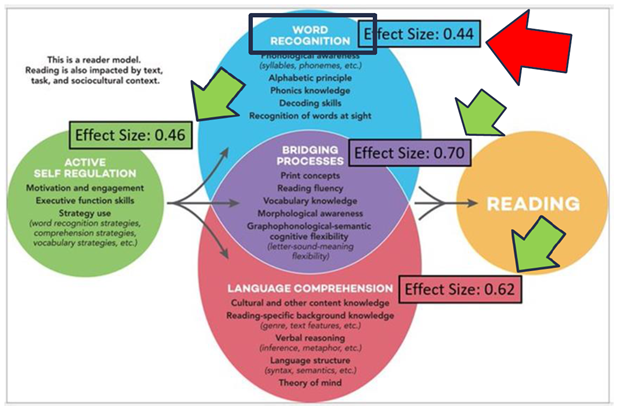 Dr. Sam Bommarito tweet media