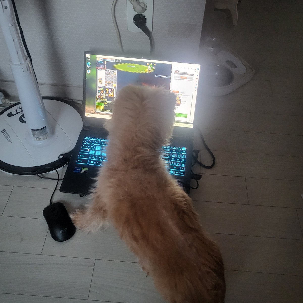 컴퓨터 하고싶구만..