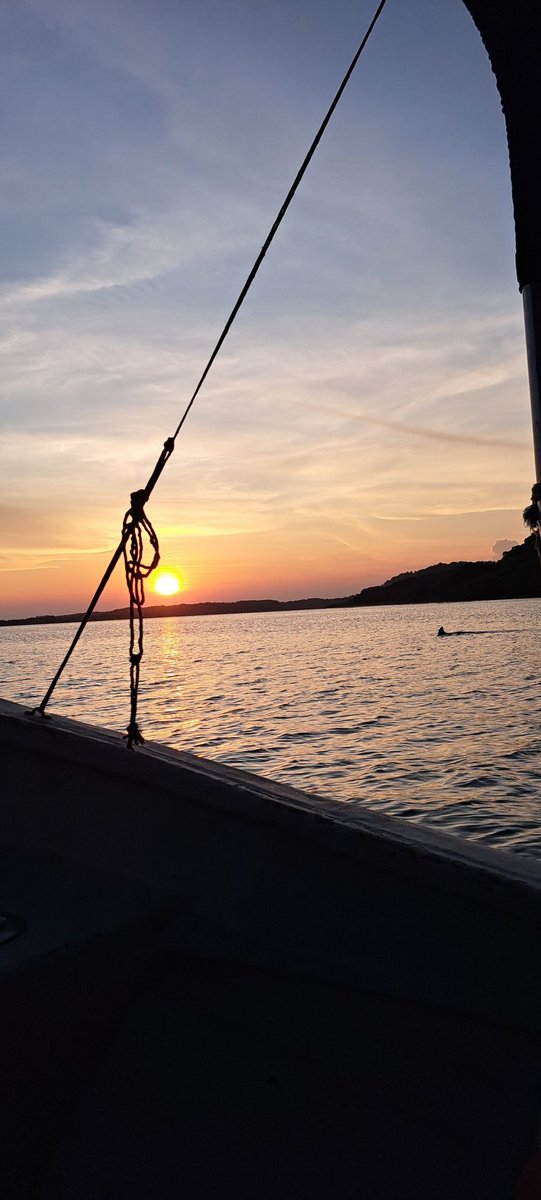 Feast your eyes on dolphins during a sunset cruise to the mangroves <a href="/BocaChicaLodge/">BocaChicaBayEcoLodge</a>
