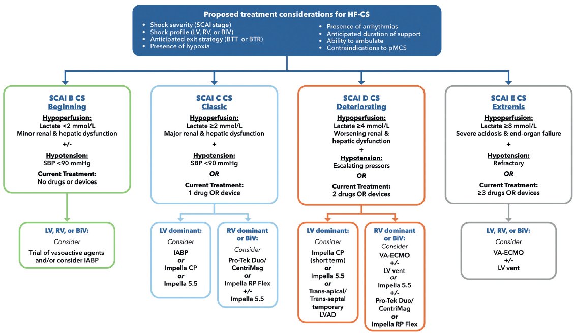 🆕 Evaluación y tratamiento del shock cardiogénico: Consenso de expertos ACC 2025.

📕 JACC
🔓 Resumen del artículo en cardioteca.com/insuficiencia-…