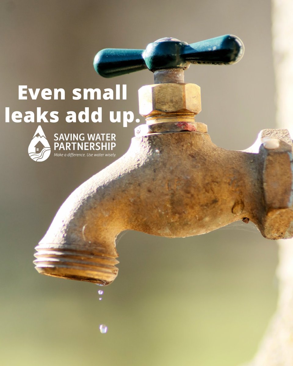 SeattleSPU's tweet image. It’s Fix-a-Leak Week! 💧

Some water leaks in the home can be hard to spot but still end up wasting a lot of water and result in high water bills - even small leaks add up! #FixALeakWeek