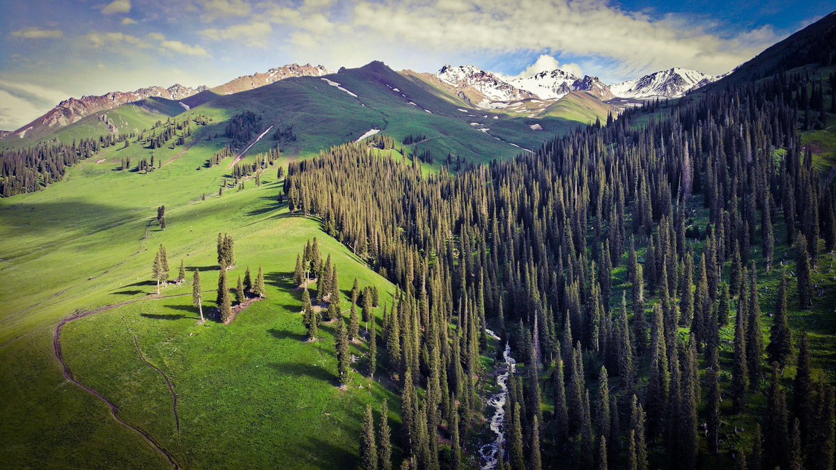 Sevmeyin vatanınızı…
Vatan sevgisi - çok acı veriyor.