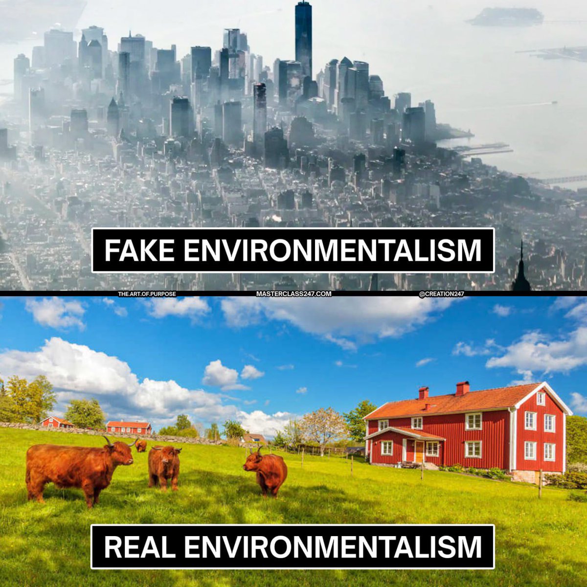 GigaBasedDad's tweet image. Yup