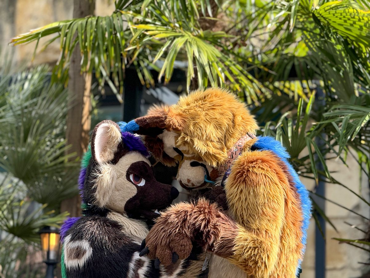 boop them and stare deep into their eyes 

📷 <a href="/_xPiTi/">PiTi</a>