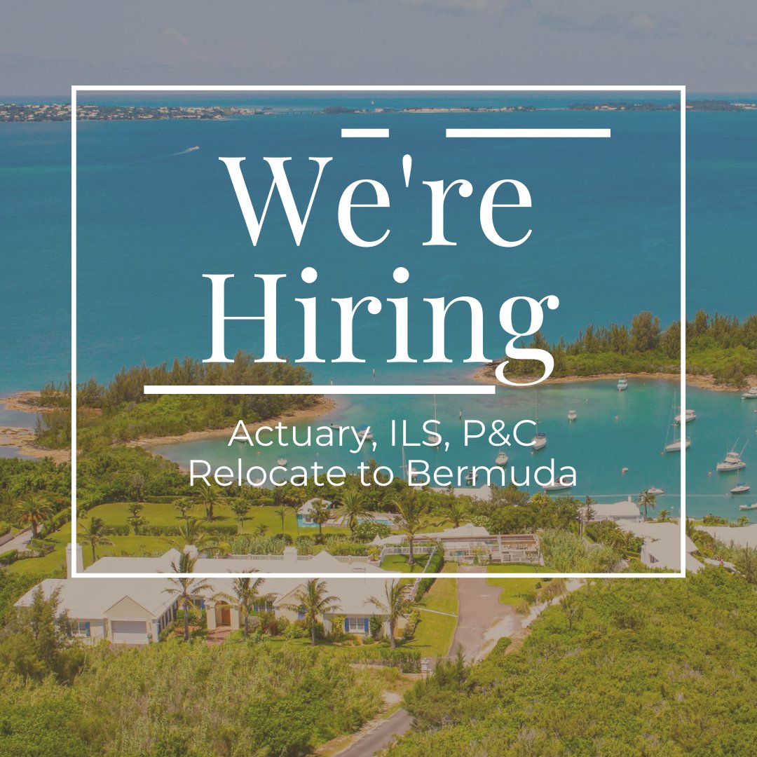 Hamilton Recruitment tweet media