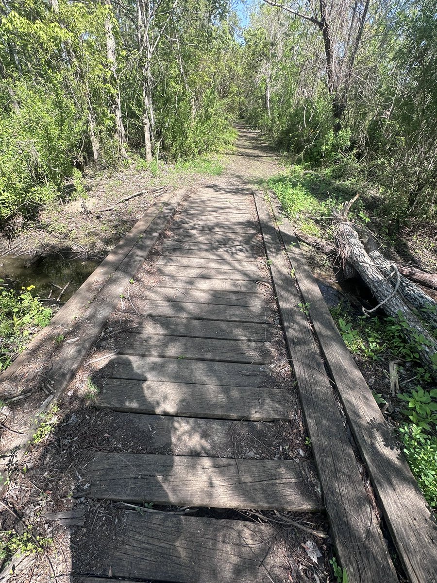 LucullusCaesar's tweet image. On an adventure