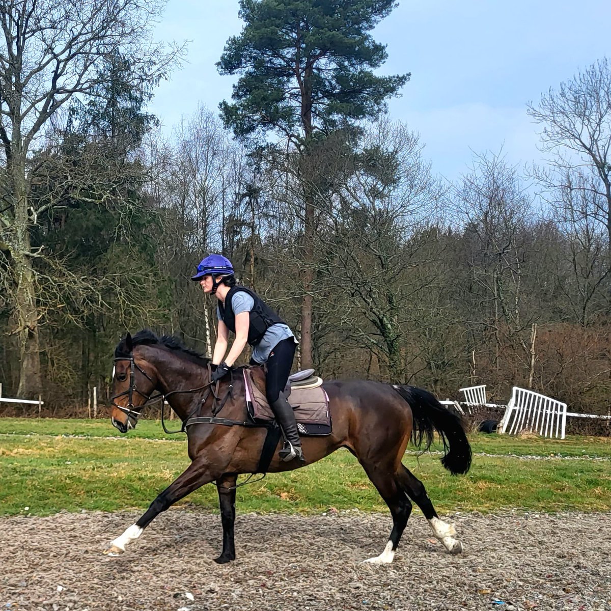 *** Surrey Nemesis Entered ***

We have entered Surrey Nemesis <a href="/FontwellPark/">Fontwell Park</a> next Friday 28 March.

Hopefully the handicapper will be kind enough to give us a mark after.

Lucy as she is fondly known at the yard is a coming along nicely and learning all the time