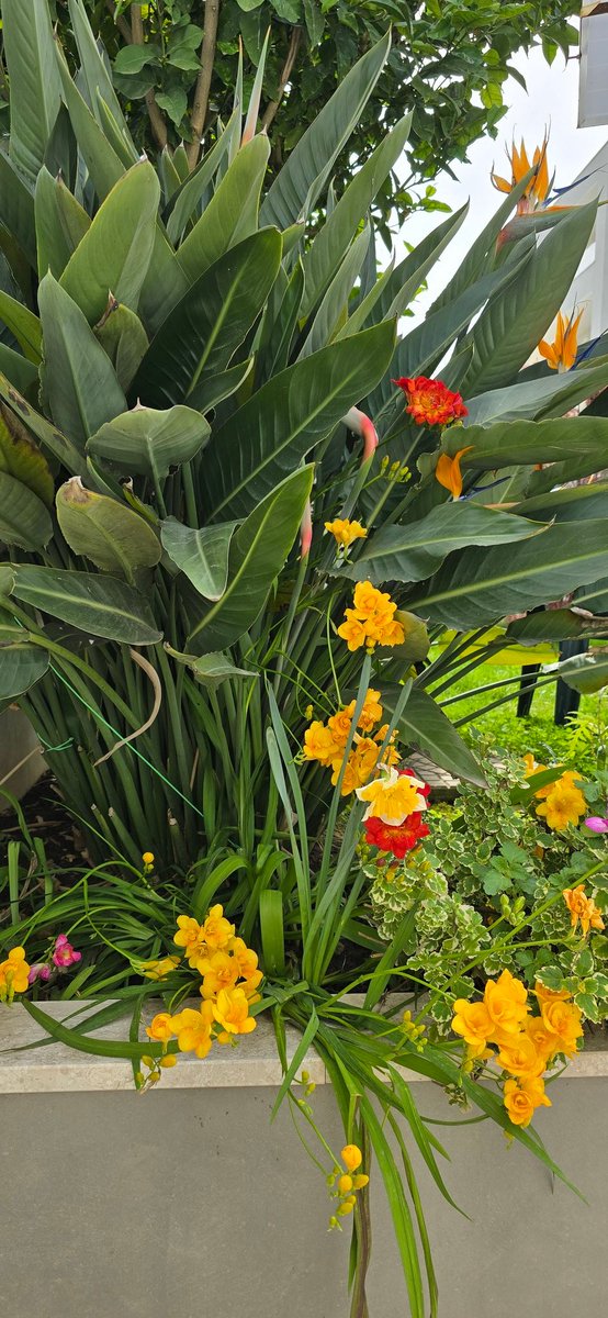 luigisimonelli2's tweet photo. Primavera https://t.co/8goIaHyNtL