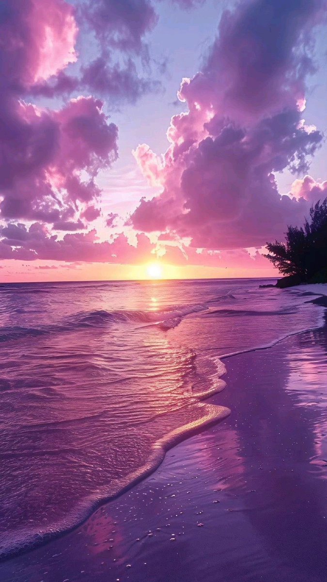 Aesthetics (@aestheticspost_) on Twitter photo 