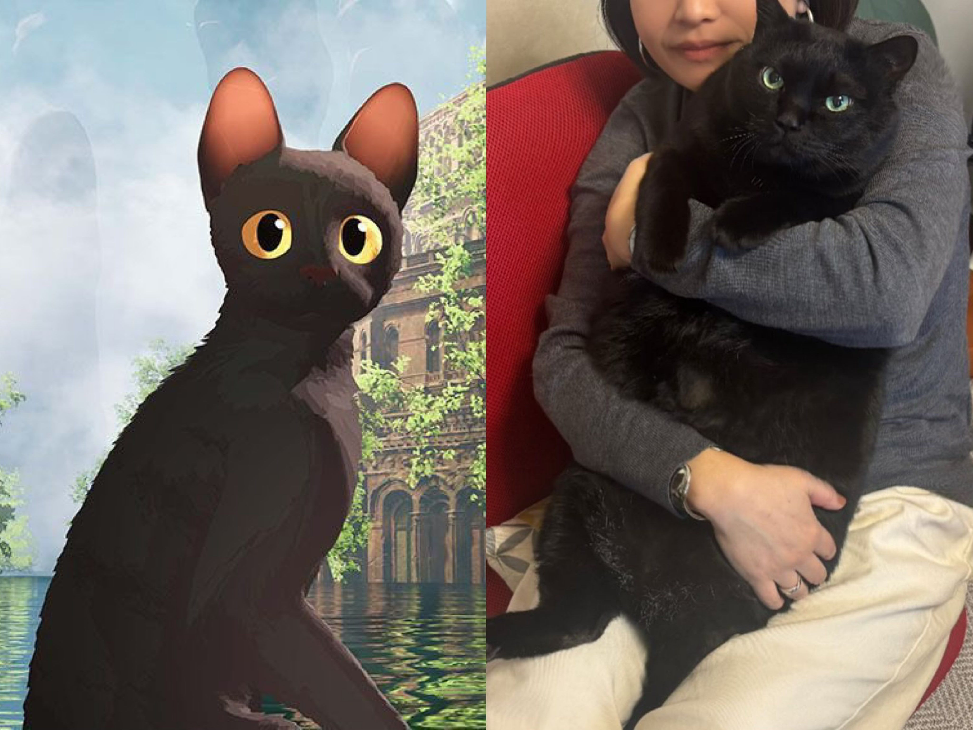Black cats are not bad luck on X: "The animated movie "Flow" contributed to  a marked increase in adoptions of black cats, often unloved due to  superstition and victims of abandonment 🥹
