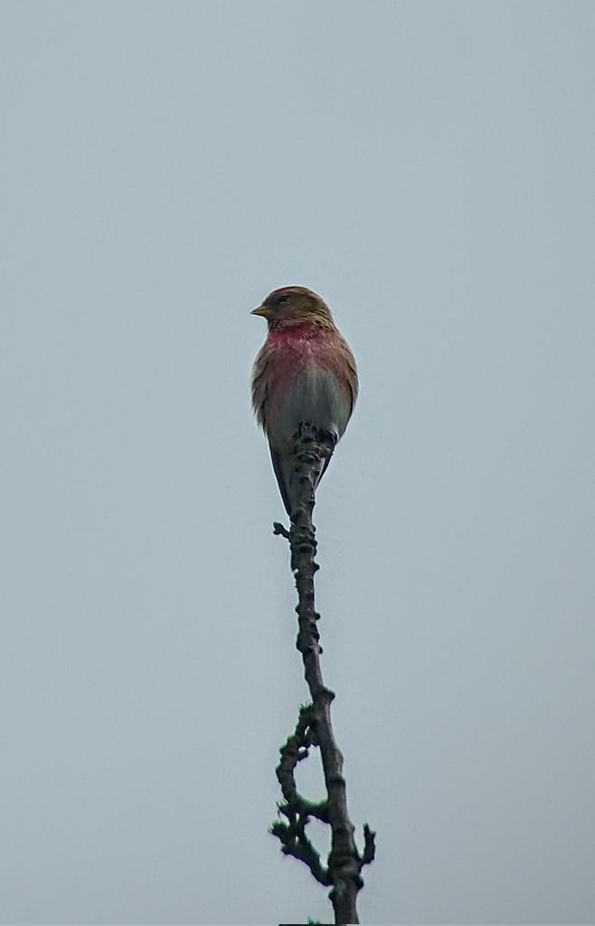 Andrew James tweet media