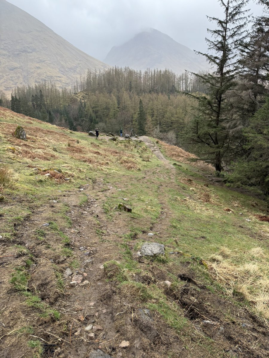 Daniel 🏴 tweet media