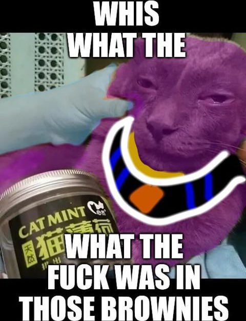 Agent_Ssj3's tweet photo. @Dtay__ My nigga what https://t.co/TO9LceHVLC