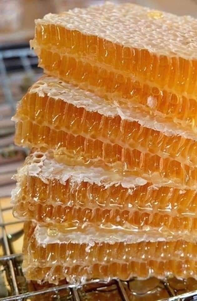 naturallyneve's tweet image. The Bible mentions:

Lamb 200 times.
Raw Milk 50 times.
Cows 270 times.
Pomegranates 33 times.
Sourdough Bread 360 times.
Goats 88 times.
Figs 55 times.
Fish 40 times.
Raw Honey 61 times.
Butter 10 times.
Salt 40 times.
Olive Oil 191 times.

EAT BIBLICALLY.