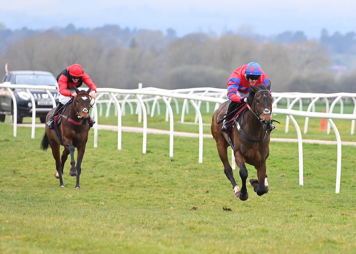 BangorRaces's tweet photo. RACE 5 RESULT: THE VOYAGER CAMPER CONVERSIONS HANDICAP HURDLE RACE

🥇Andy Amo
🥈High Game Royal

Jockey: Jamie Brace
Trainer: Rebecca Curtis
Owner: Mr David McDermott 

📸 @offphoto https://t.co/1QJUoeiNGX