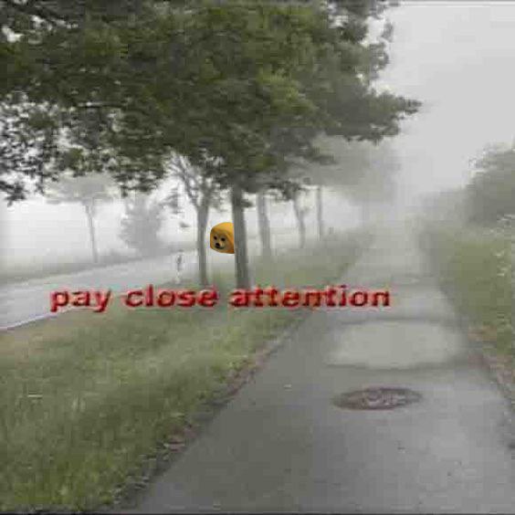 Calm

Before

The 

Storm

<a href="/OfficialDogZip/">Dogzip</a>