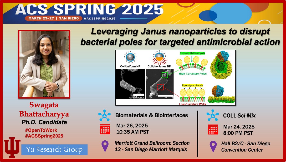 Attending #ACSSpring2025 in San Diego?  

Catch me at: 
📌 Biomaterials &amp; Biointerfaces
🗓️ Mar 26, 2025 ⏰ 10:35 AM PDT 📍 Marriott Grand Ballroom Sec 13

📌COLL Sci-Mix
🗓️Mar 24, 2025 ⏰ 8:00 PM PDT 📍 Hall B2/C, San Diego Convention Center

<a href="/IUImpact/">Indiana University Research</a> <a href="/IUBloomington/">IU Bloomington</a> #opentowork
