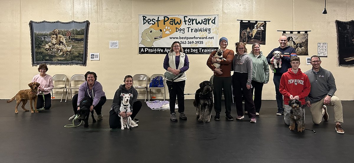 bestpawforwardw's tweet image. Congrats #BasicManners grads! You worked on your dog’s skills and helped them improve their focus and impulse control. It was fun to see you level up your skills, strengthen your relationships with your #dogs and have fun with them too. #GradPhotos #RewardBasedTraining