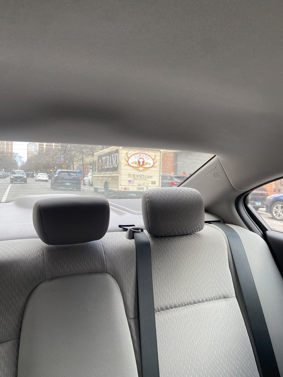 Nicky Mostaccioli tweet media