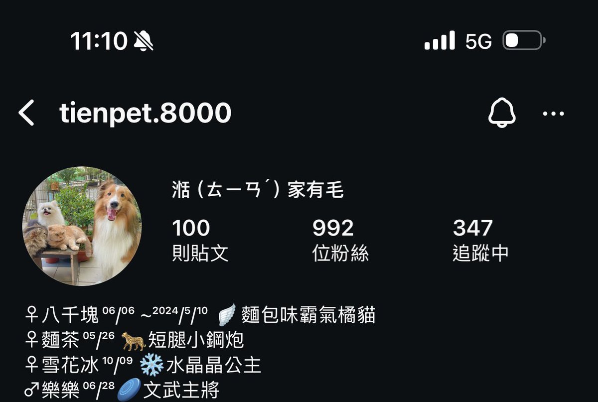 🐾 喜歡可愛的寵物嗎？一起來吸毛孩吧！🐾

Ig帳號

📸 <a href="/tienpet/">Tien TM</a>.8000 – 滿滿的萌寵日常，讓你的心都融化！🐶🐱✨
🍖 <a href="/zf/">Khalaf S Al Khalaf.</a>.pets – 寵物零食推薦＋飼養小知識，讓你的主子吃好住好！🦴📚

快來追蹤，一起當個快樂的鏟屎官！😆🐾