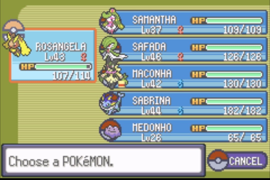 Meu time ai